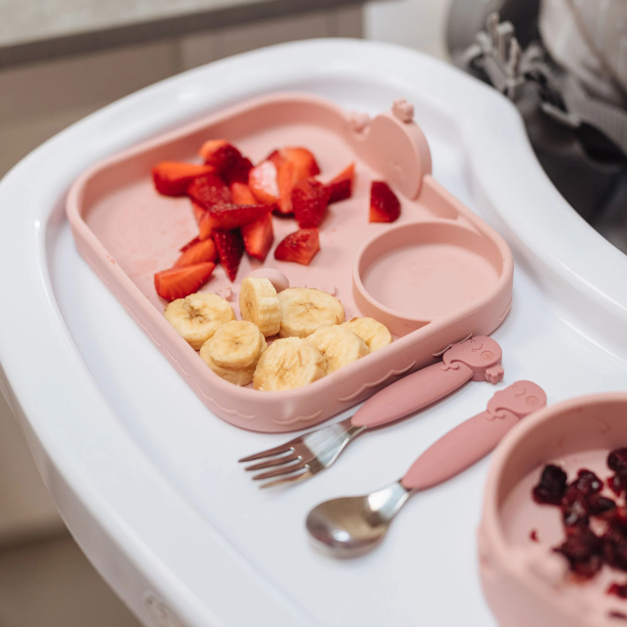 Animal Friends All Silicone Tray - Image 6