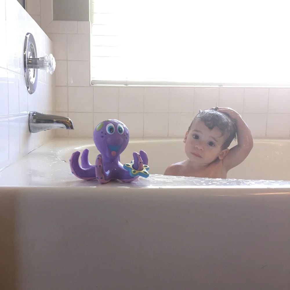 Octopus Hoopla - Image 5